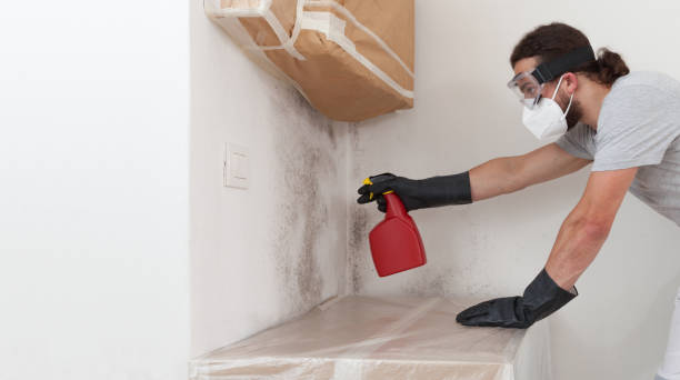 Professional Crawl Space Mold Remediation technician working in Vienna, IL