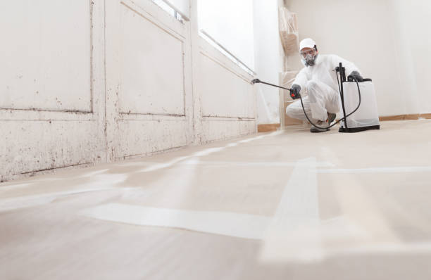 24/7 Emergency Crawl Space Mold Remediation experts in Vienna, IL