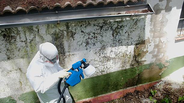 Top rated local Crawl Space Mold Remediation specialists in Vienna, IL